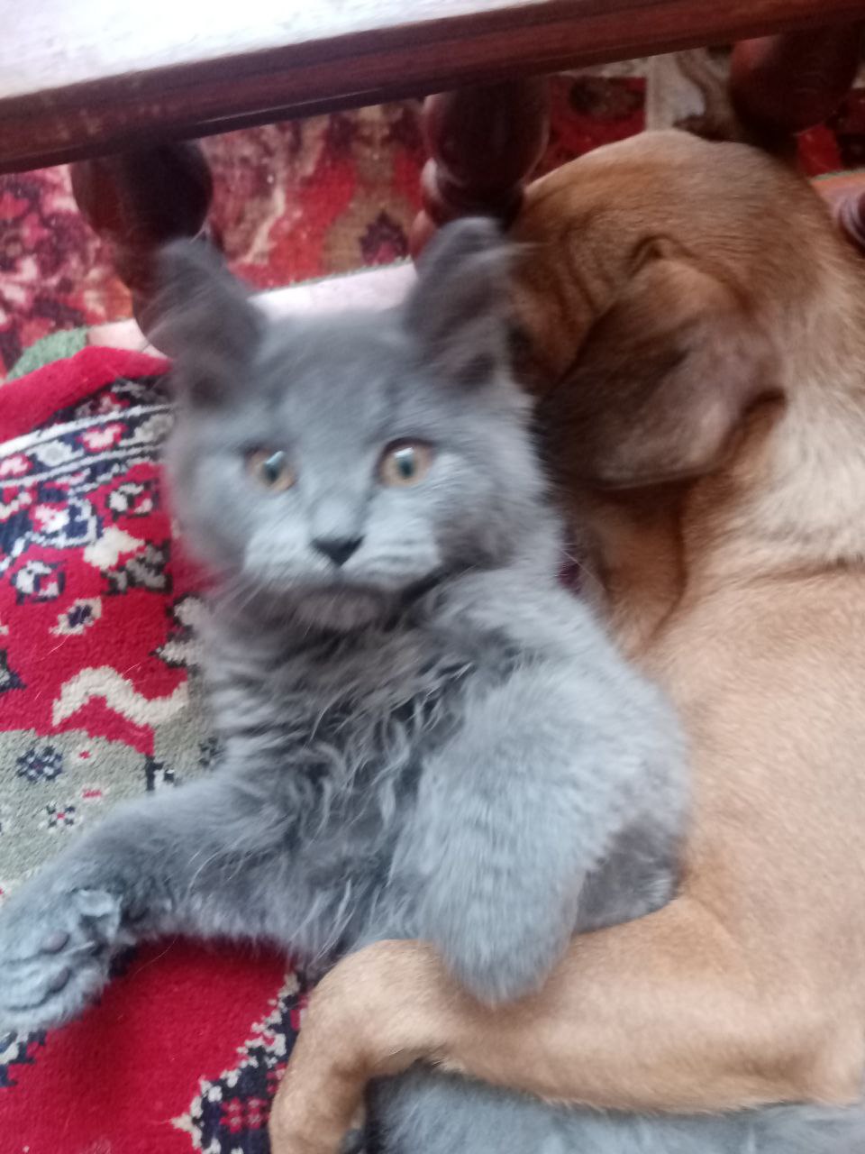 Доброе утро, Кубань!. Краснодар +16 °С Доброе утро, Кубань!. Краснодар +16 °С