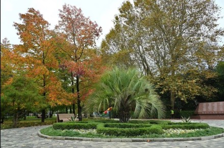 Андрей Прошунин: В ходе рабочего объезда посетил обновлённый парк 50 лет Победы в Хостинском районе