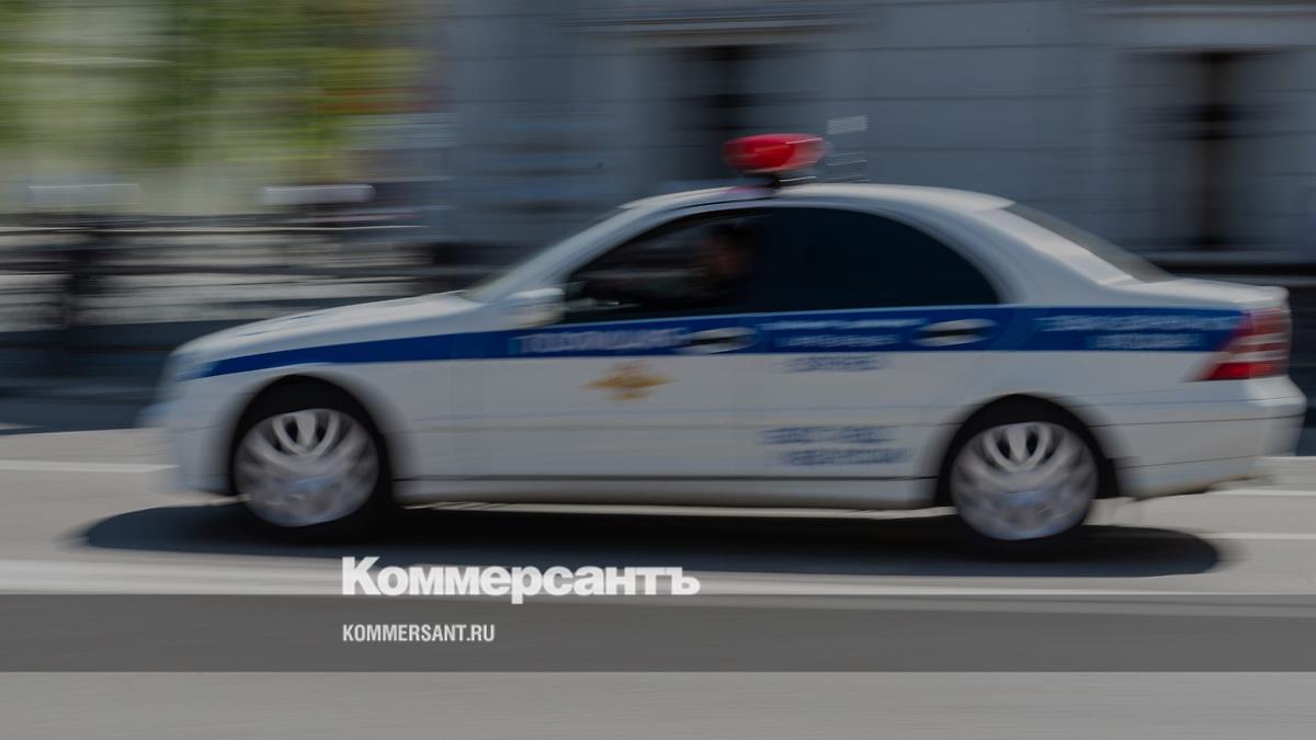 Полиция Сочи проверяет сообщение о поджоге с собаками в Дагомысе