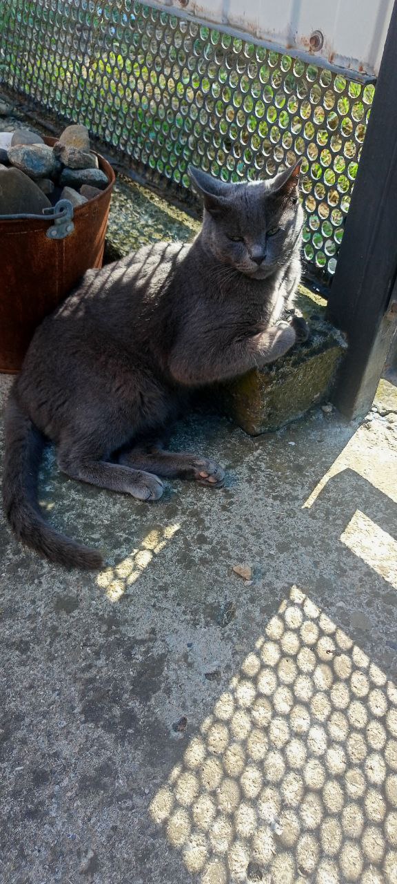 Доброе утро, Кубань!. Краснодар +16 °С Доброе утро, Кубань!. Краснодар +16 °С