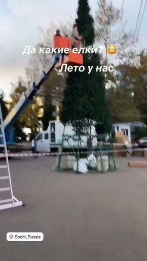 В Сочи уже собирают ёлку!. Не рановато ли? До Нового года ещё 2 месяца
