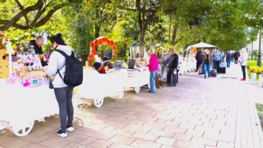 В Сочи ко Дню народного Единства на улице Навагинской открылась выставка-ярмарка мастеров декоративно-прикладного искусства и народных художественных промыслов