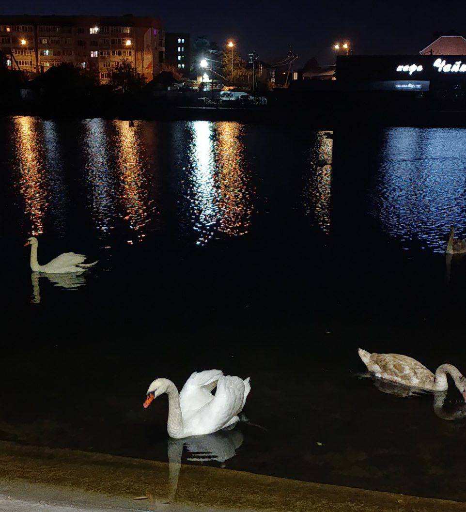 О погоде на 3 ноября. В Краснодарском крае переменная облачность О погоде на 3 ноября. В Краснодарском крае переменная облачность