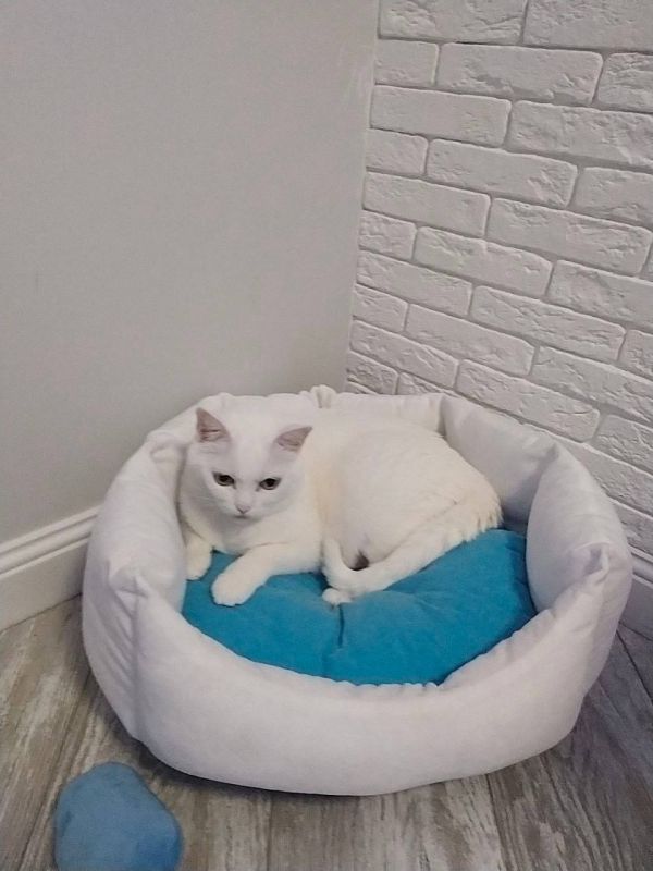 Доброе утро, Кубань!. Краснодар +16 °С Доброе утро, Кубань!. Краснодар +16 °С