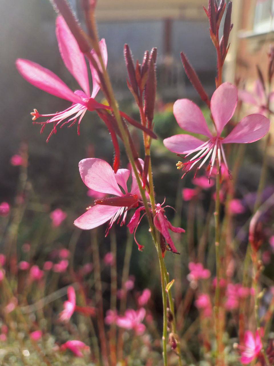 О погоде на 3 ноября. В Краснодарском крае переменная облачность О погоде на 3 ноября. В Краснодарском крае переменная облачность