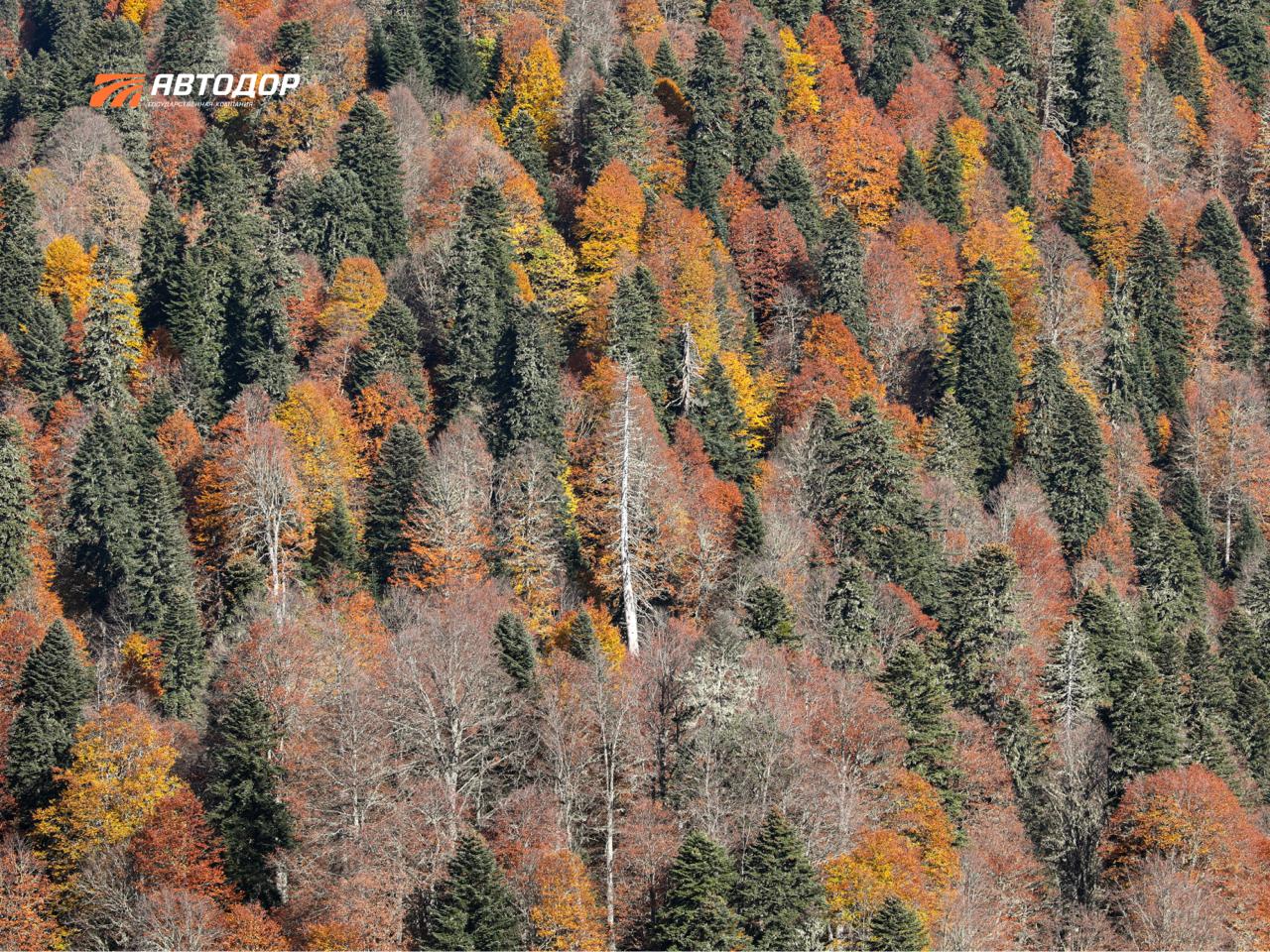 Не часто, но осень на курортах Красной Поляны бывает ранней и холодной Не часто, но осень на курортах Красной Поляны бывает ранней и холодной