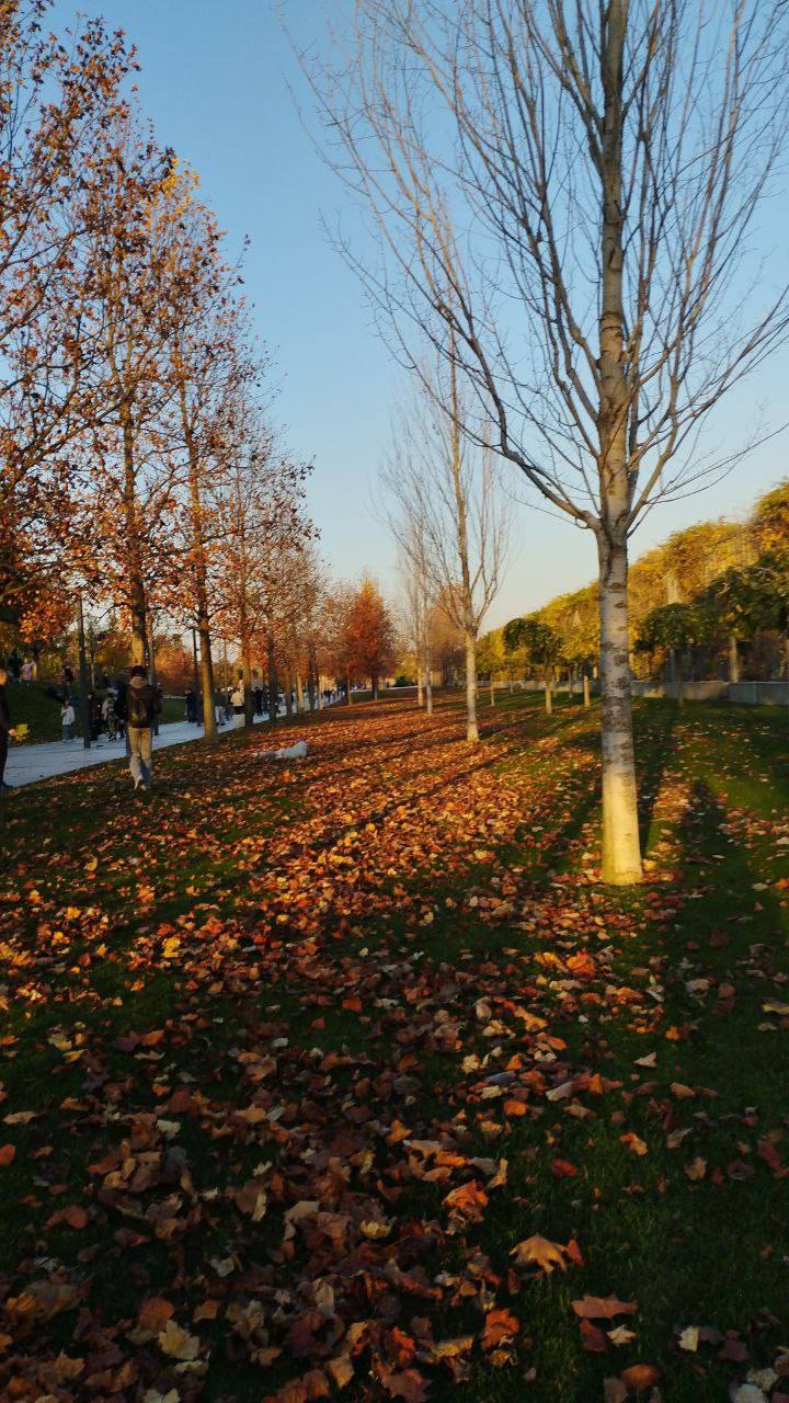 О погоде на 3 ноября. В Краснодарском крае переменная облачность О погоде на 3 ноября. В Краснодарском крае переменная облачность