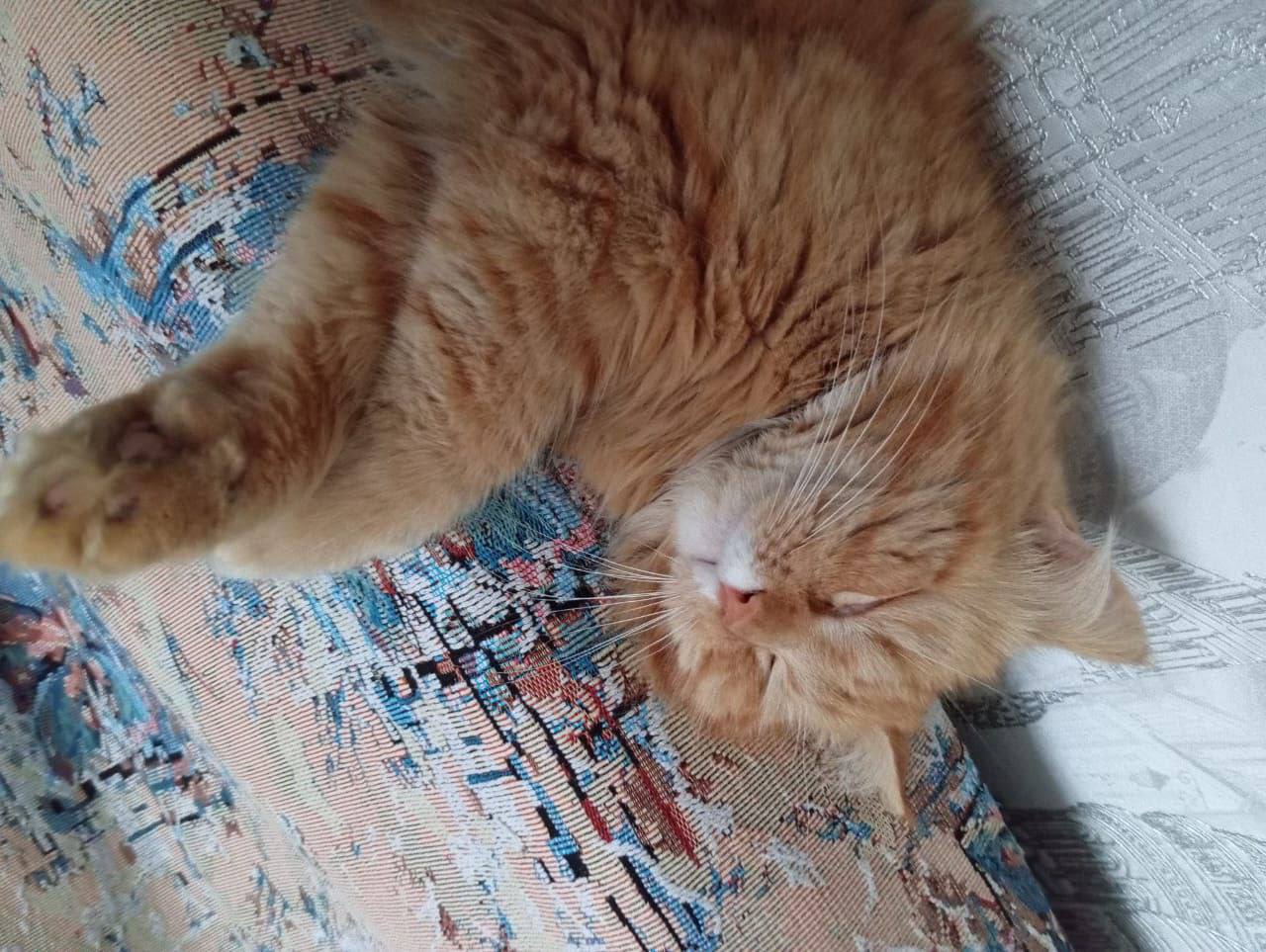 Доброе утро, Кубань!. Краснодар +16 °С Доброе утро, Кубань!. Краснодар +16 °С