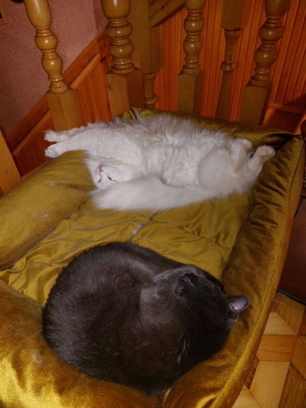 Доброе утро, Кубань!. Краснодар +16 °С Доброе утро, Кубань!. Краснодар +16 °С