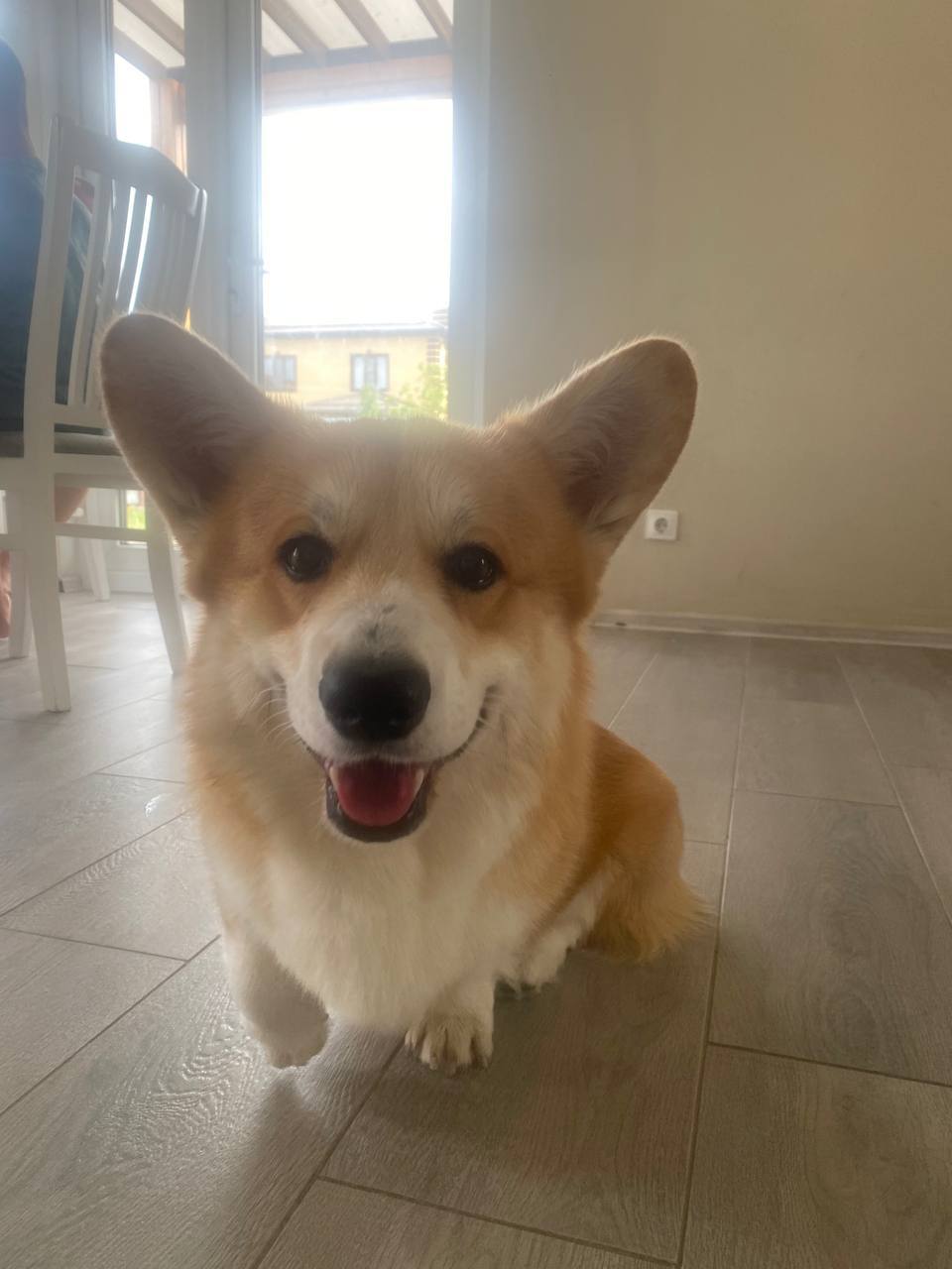 Доброе утро, Кубань!. Краснодар +16 °С