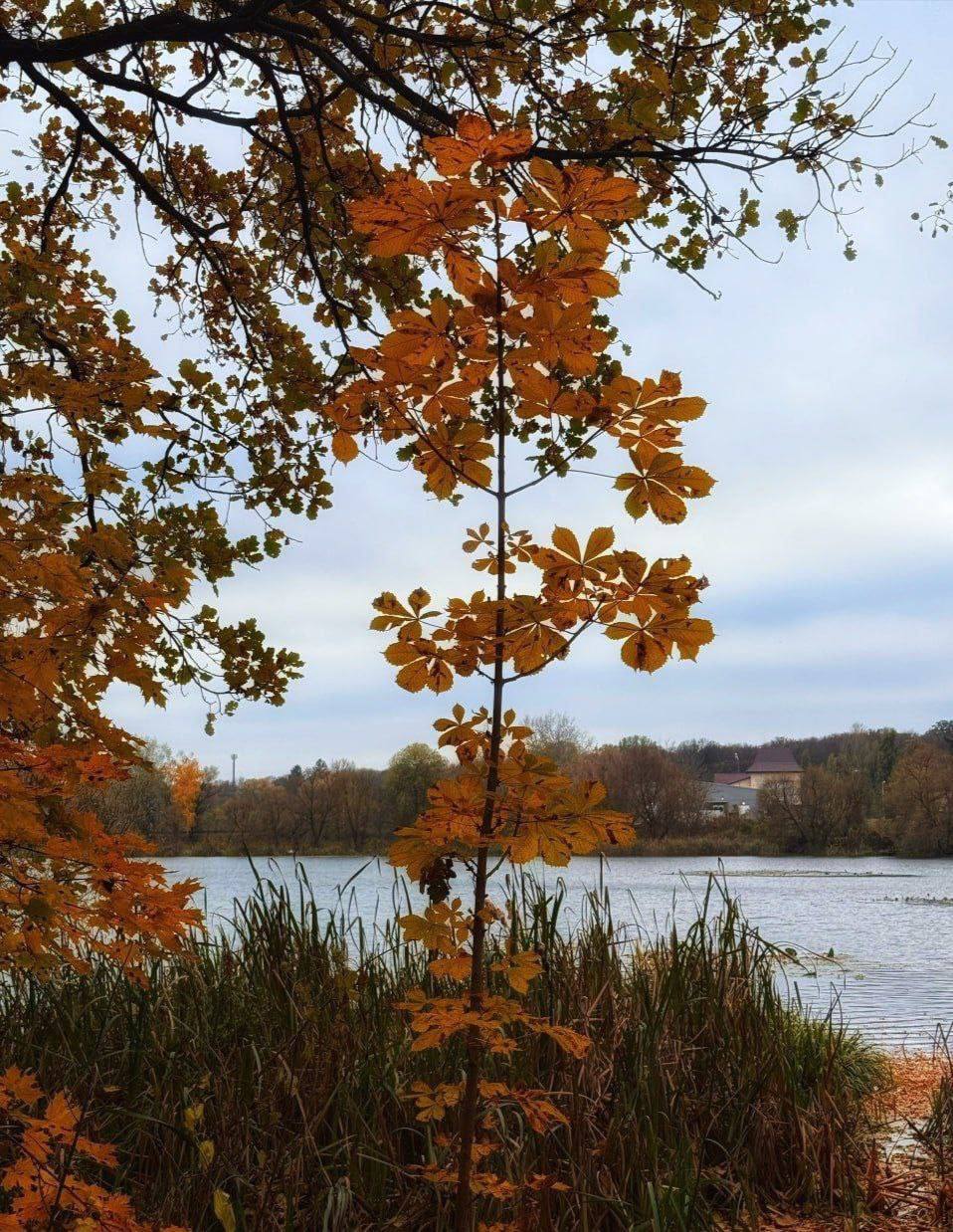О погоде на 3 ноября. В Краснодарском крае переменная облачность О погоде на 3 ноября. В Краснодарском крае переменная облачность