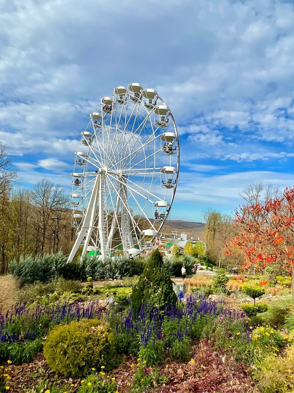 О погоде на 3 ноября. В Краснодарском крае переменная облачность О погоде на 3 ноября. В Краснодарском крае переменная облачность