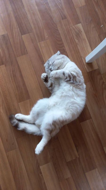 Доброе утро, Кубань!. Краснодар +16 °С Доброе утро, Кубань!. Краснодар +16 °С