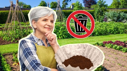 Кофейную гущу зря не выбрасывайте: хитрые дачники нашли ей применение