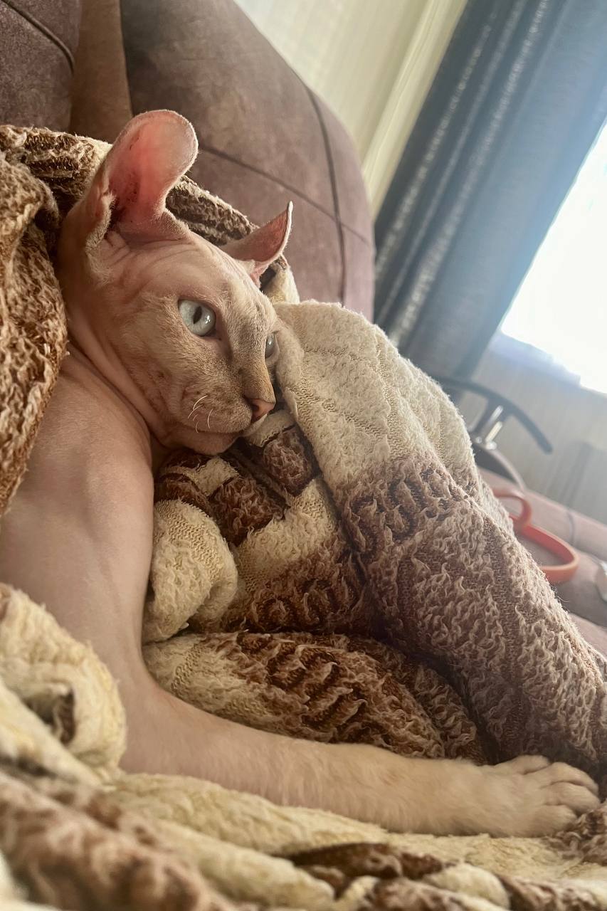 Доброе утро, Кубань!. Краснодар +16 °С Доброе утро, Кубань!. Краснодар +16 °С