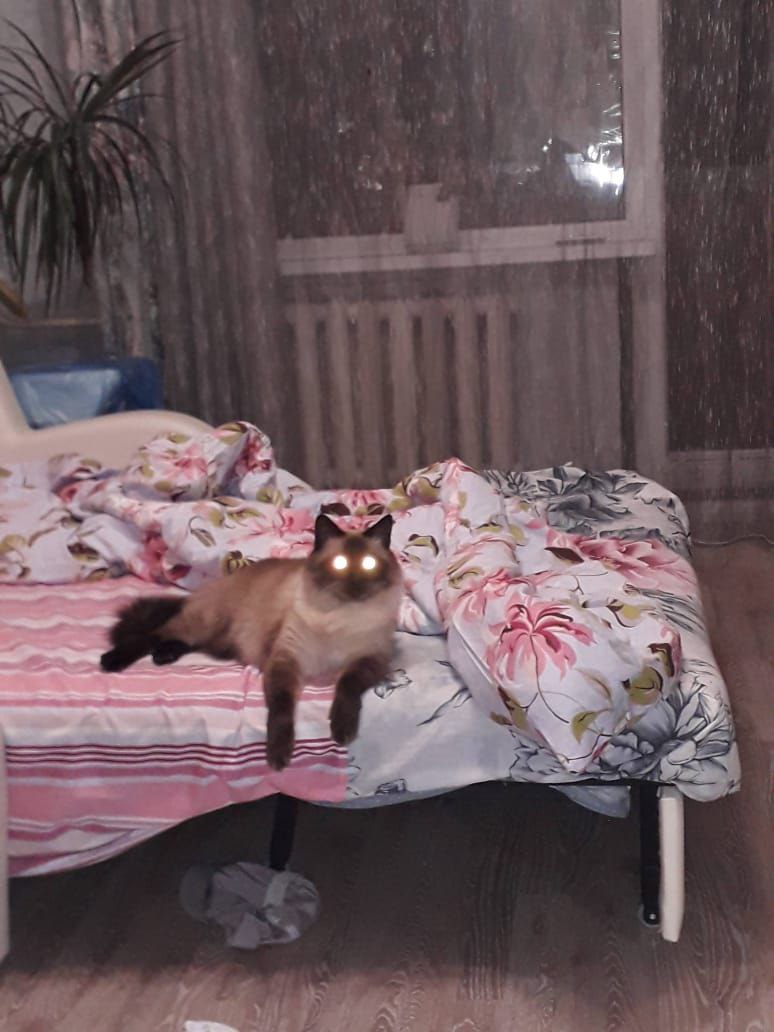 О погоде 4 ноября в Краснодарском крае: О погоде 4 ноября в Краснодарском крае: