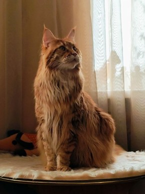 О погоде 4 ноября в Краснодарском крае: