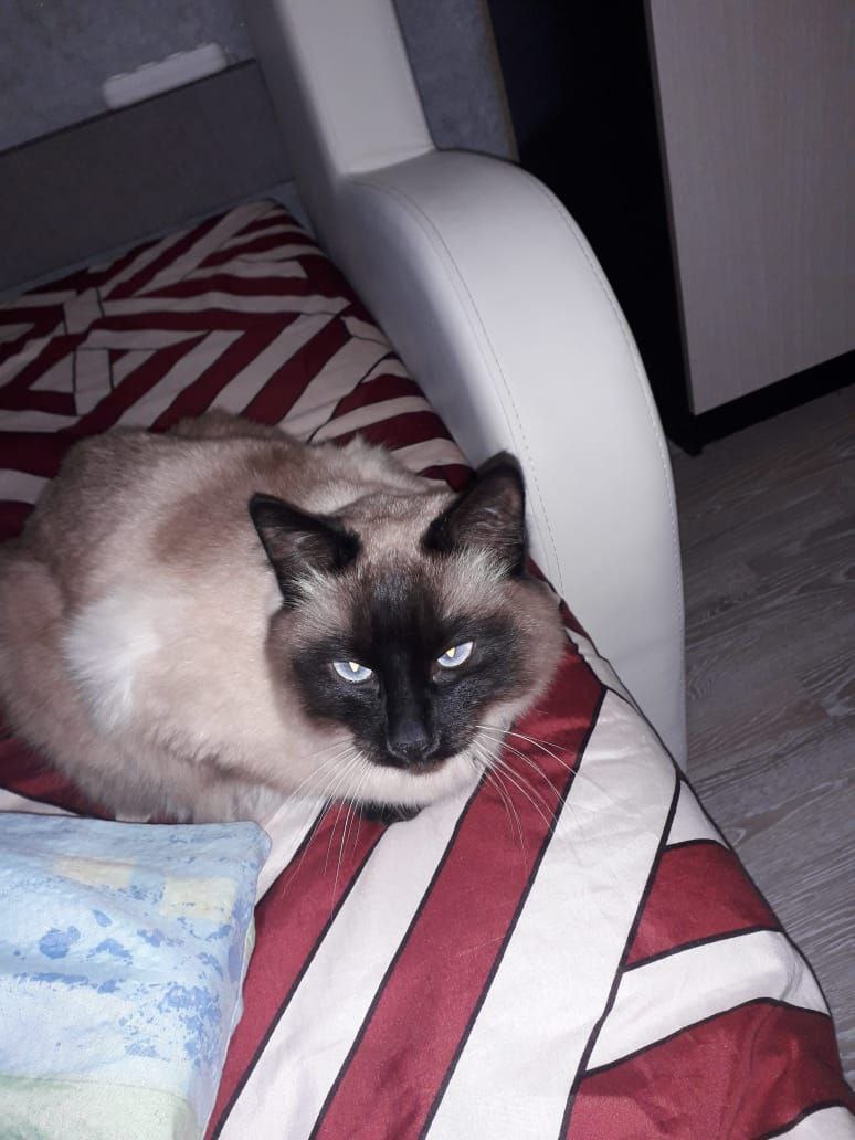 О погоде 4 ноября в Краснодарском крае: О погоде 4 ноября в Краснодарском крае: