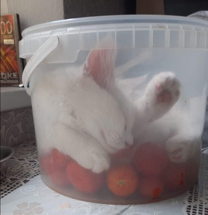 О погоде 4 ноября в Краснодарском крае: О погоде 4 ноября в Краснодарском крае: