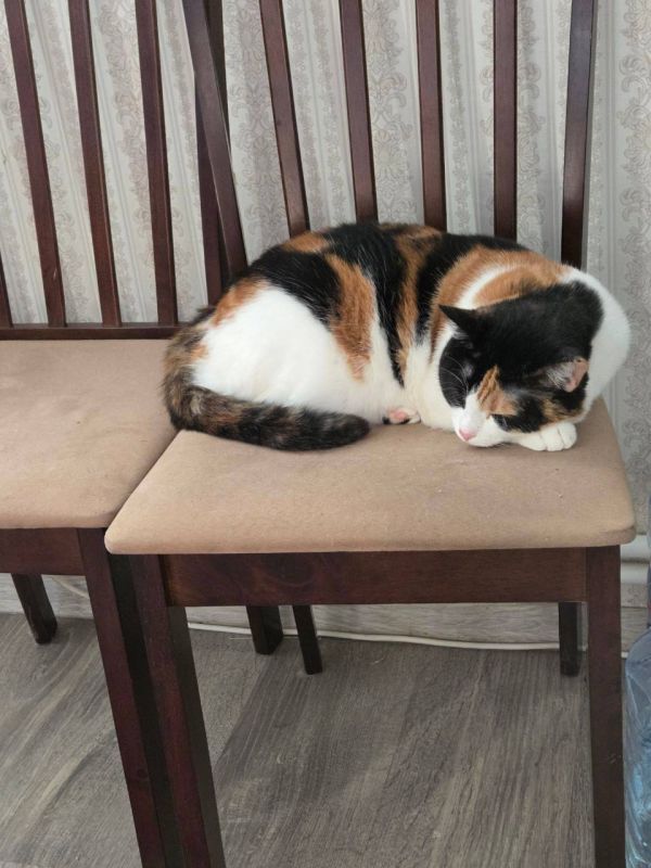 О погоде на 5 ноября. В Краснодарском крае облачно с прояснениями О погоде на 5 ноября. В Краснодарском крае облачно с прояснениями