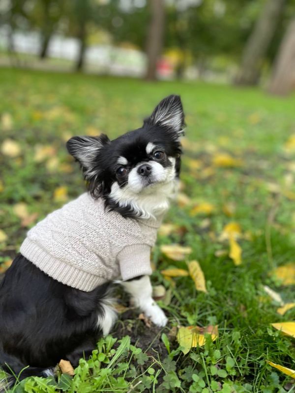 О погоде на 5 ноября. В Краснодарском крае облачно с прояснениями О погоде на 5 ноября. В Краснодарском крае облачно с прояснениями