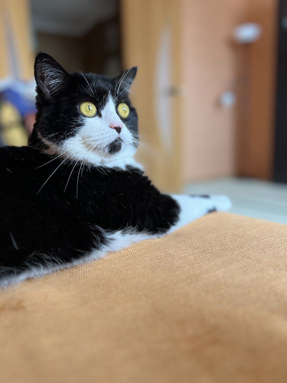 Доброе утро, Кубань!. Краснодар +17 °С Доброе утро, Кубань!. Краснодар +17 °С