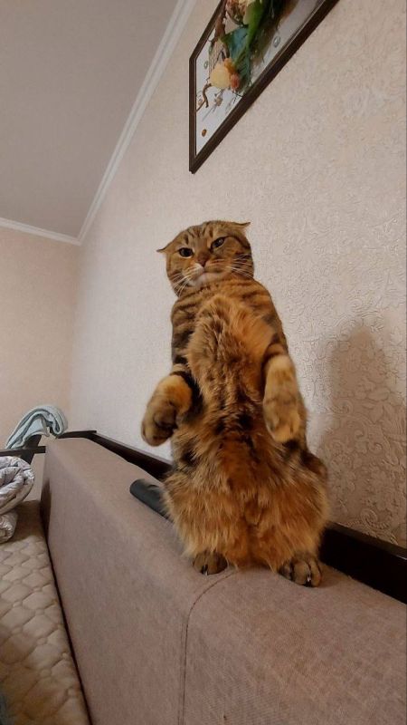 О погоде на 5 ноября. В Краснодарском крае облачно с прояснениями О погоде на 5 ноября. В Краснодарском крае облачно с прояснениями