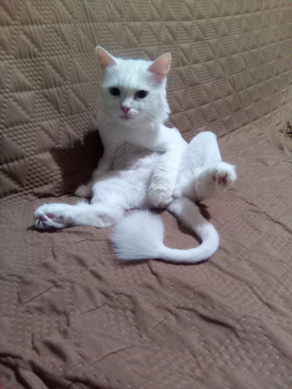 Доброе утро, Кубань!. Краснодар +17 °С Доброе утро, Кубань!. Краснодар +17 °С