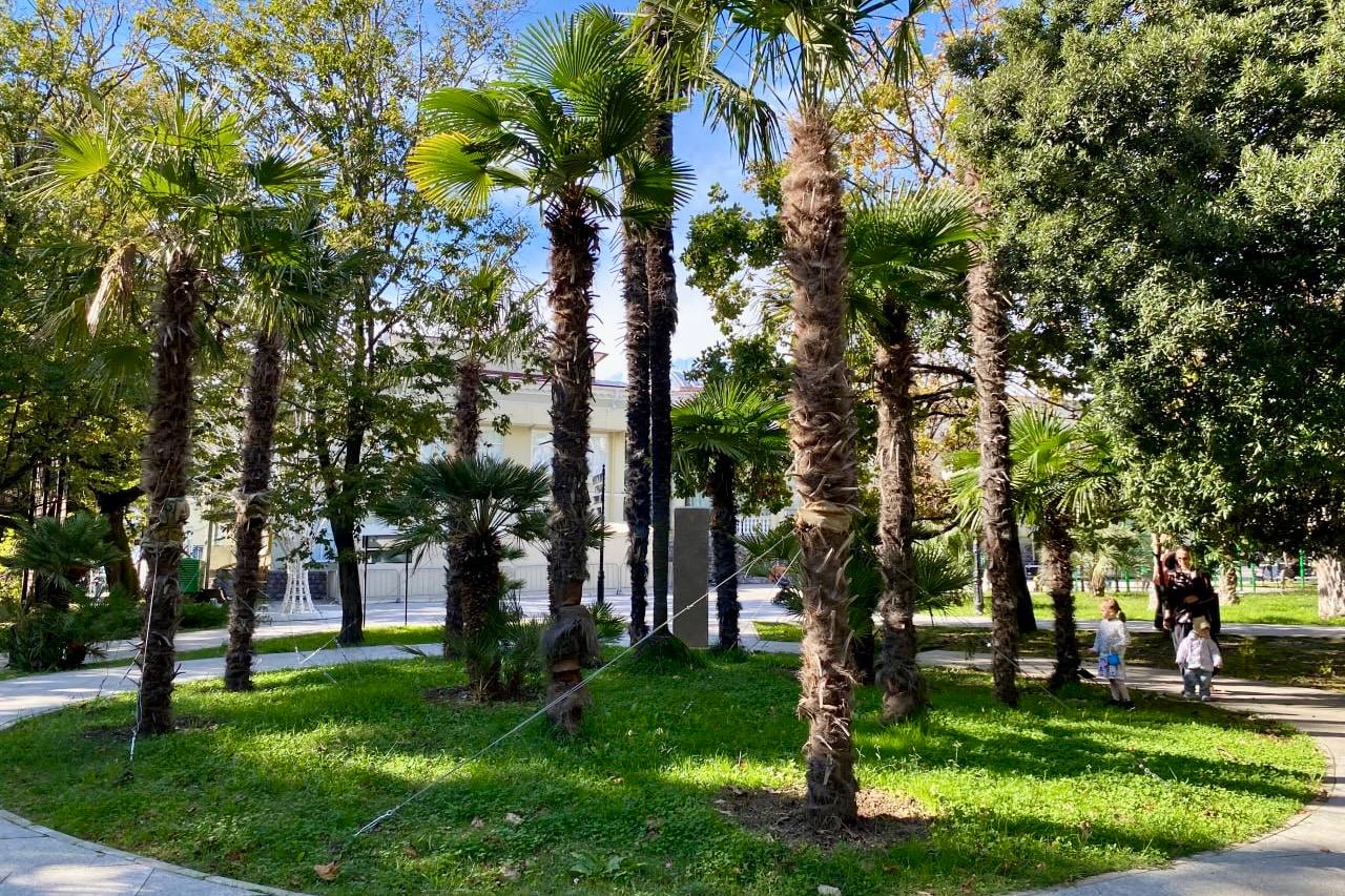 Андрей Прошунин: Укрепляем зелёный каркас курорта Андрей Прошунин: Укрепляем зелёный каркас курорта