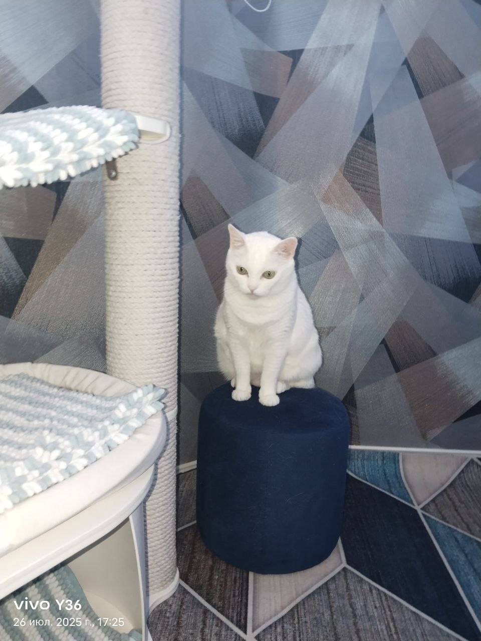 Доброе утро, Кубань!. Краснодар +17 °С Доброе утро, Кубань!. Краснодар +17 °С