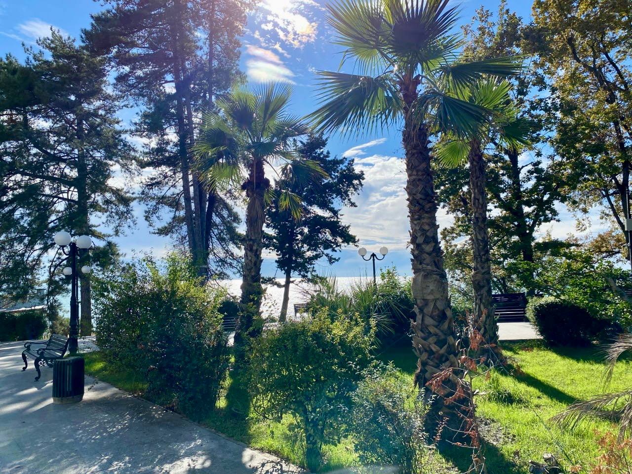 Андрей Прошунин: Укрепляем зелёный каркас курорта Андрей Прошунин: Укрепляем зелёный каркас курорта