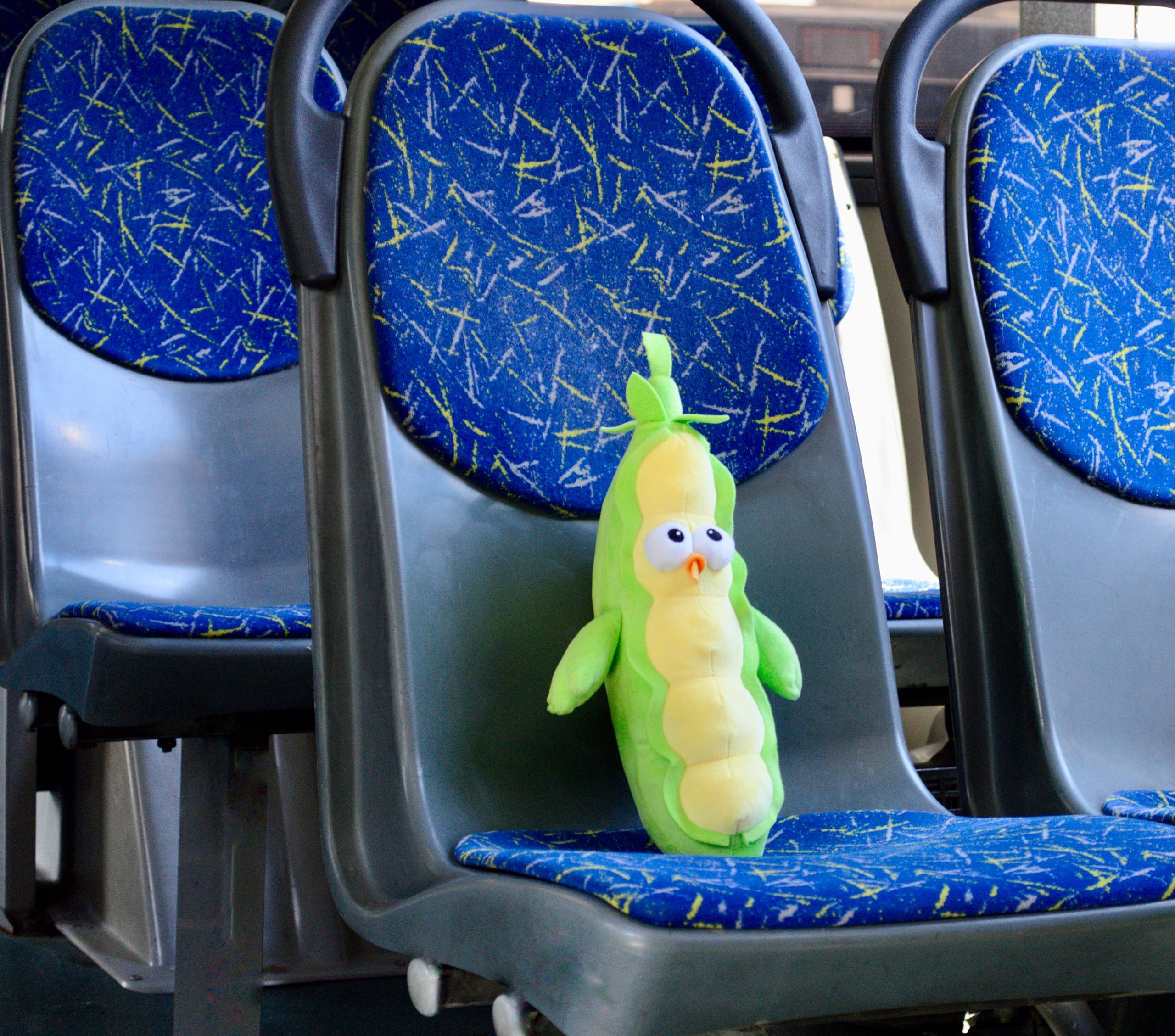 Забыли вещи в транспорте? Наш пост вам поможет быстро сориентироваться!