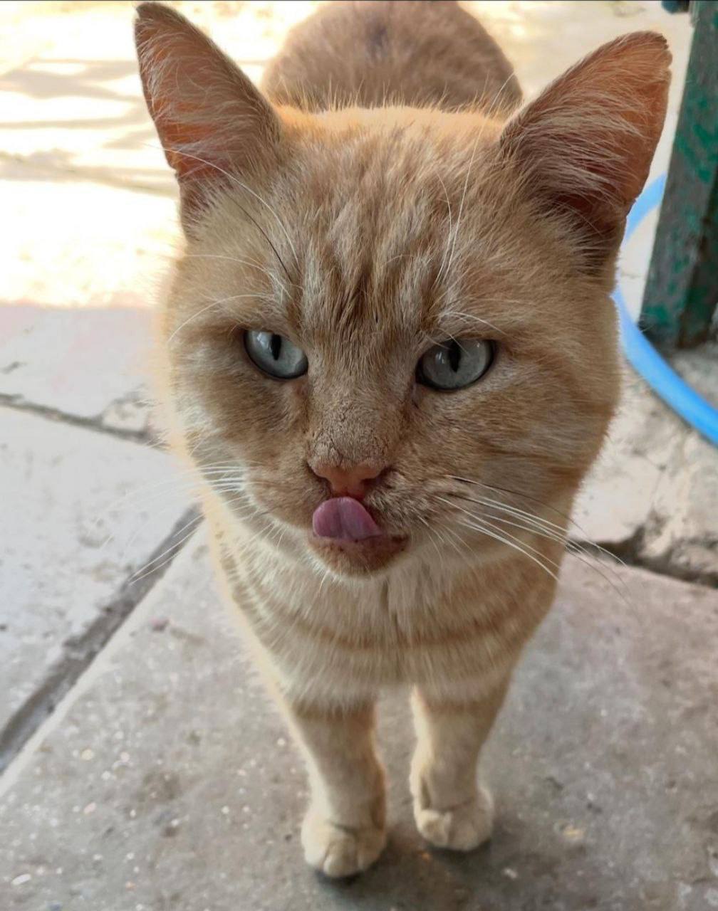 О погоде на 6 ноября. В Краснодарском крае переменная облачность О погоде на 6 ноября. В Краснодарском крае переменная облачность