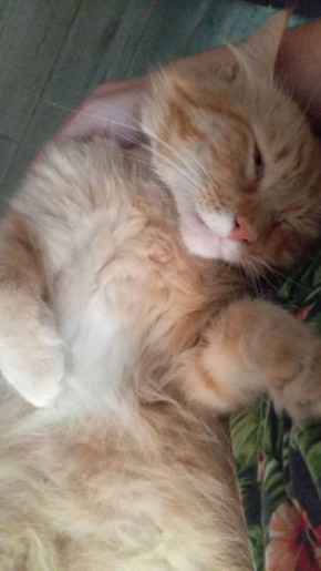 Доброе утро, Кубань!. Краснодар +17 °С