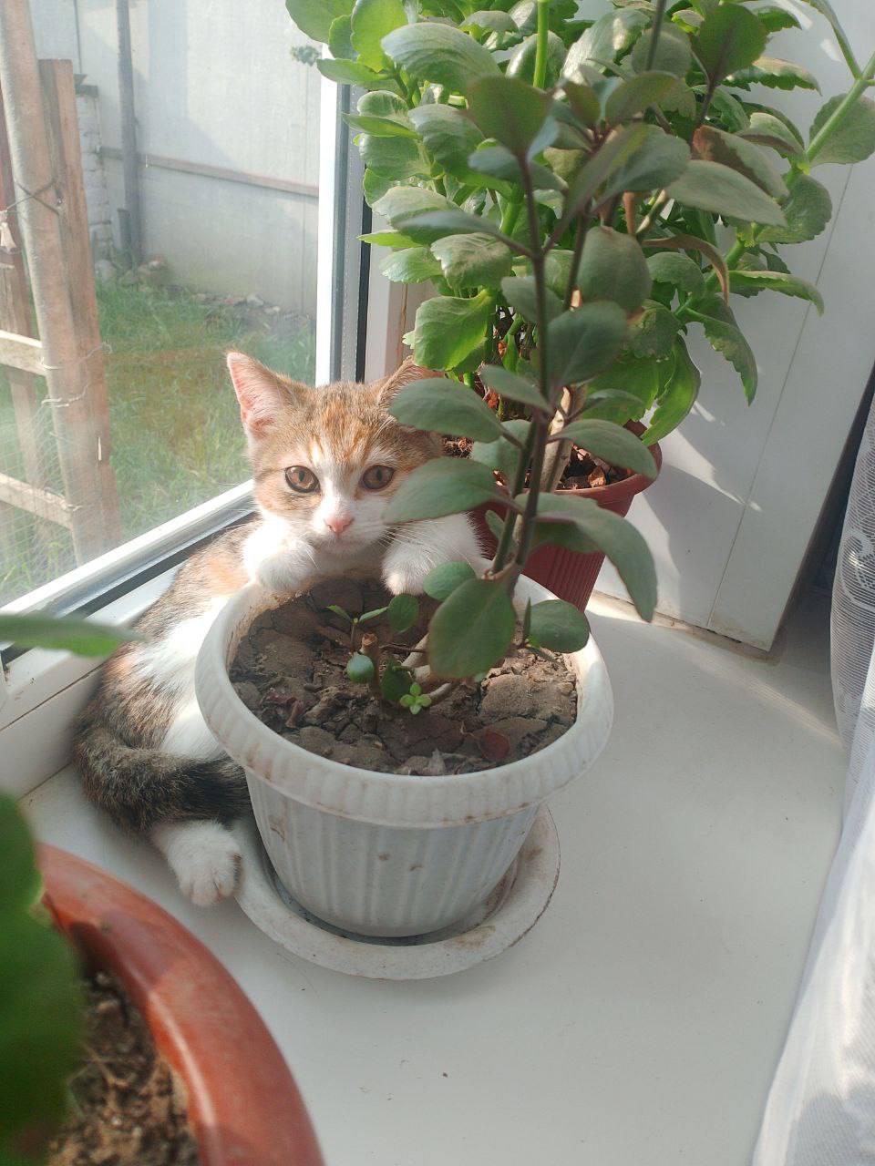 О погоде на 7 ноября. В Краснодарском крае переменная облачность О погоде на 7 ноября. В Краснодарском крае переменная облачность