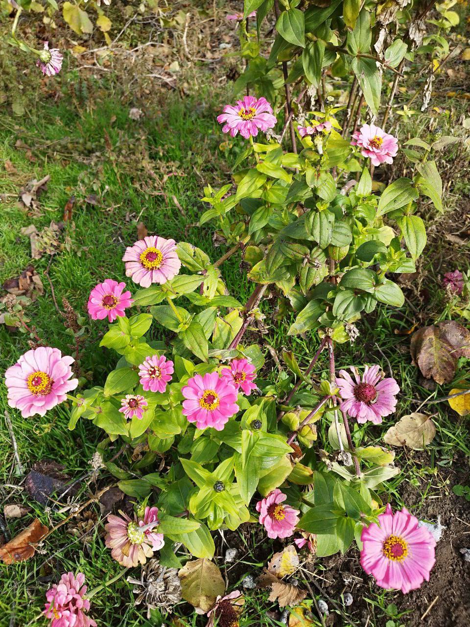 О погоде на 7 ноября. В Краснодарском крае переменная облачность О погоде на 7 ноября. В Краснодарском крае переменная облачность