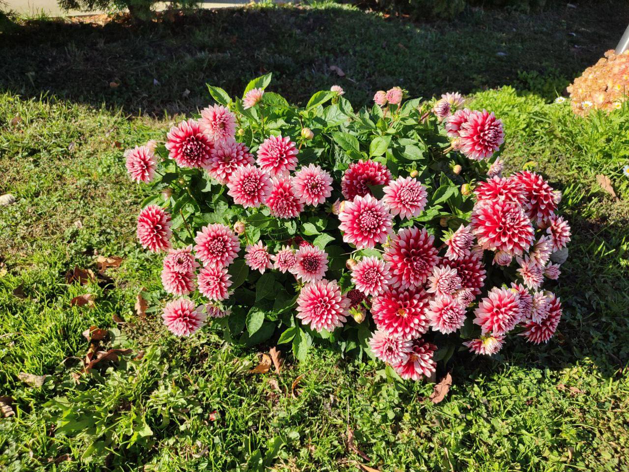 О погоде на 7 ноября. В Краснодарском крае переменная облачность О погоде на 7 ноября. В Краснодарском крае переменная облачность