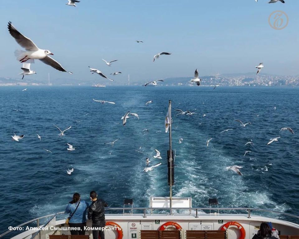  Sea Bridge,        ,              