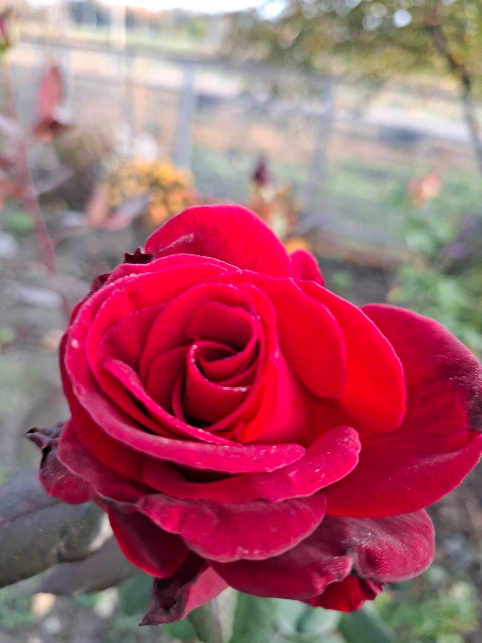 О погоде на 7 ноября. В Краснодарском крае переменная облачность О погоде на 7 ноября. В Краснодарском крае переменная облачность