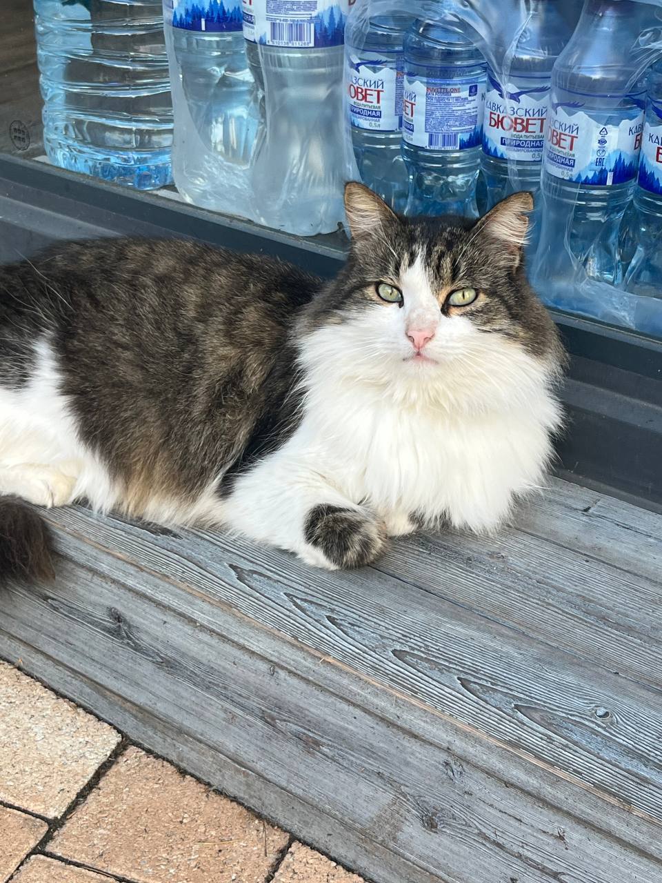 О погоде на 7 ноября. В Краснодарском крае переменная облачность О погоде на 7 ноября. В Краснодарском крае переменная облачность