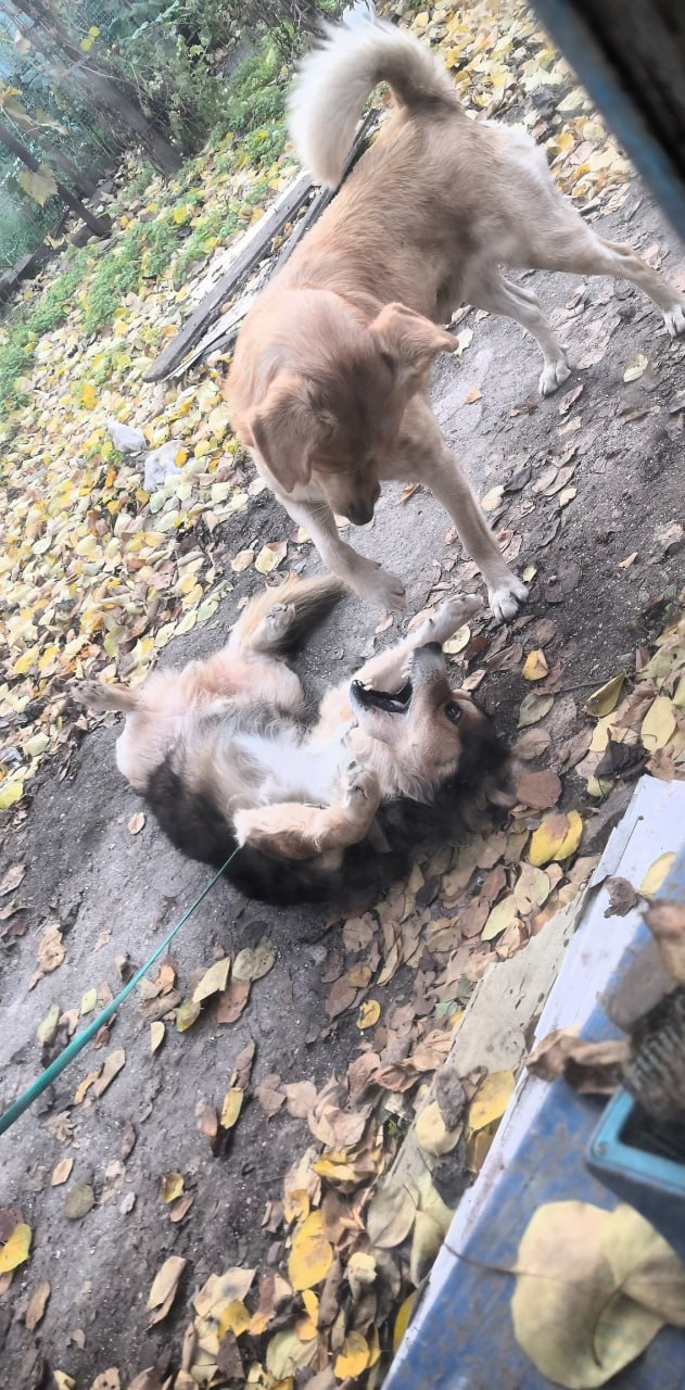 О погоде на 8 ноября. В Краснодарском крае переменная облачность О погоде на 8 ноября. В Краснодарском крае переменная облачность