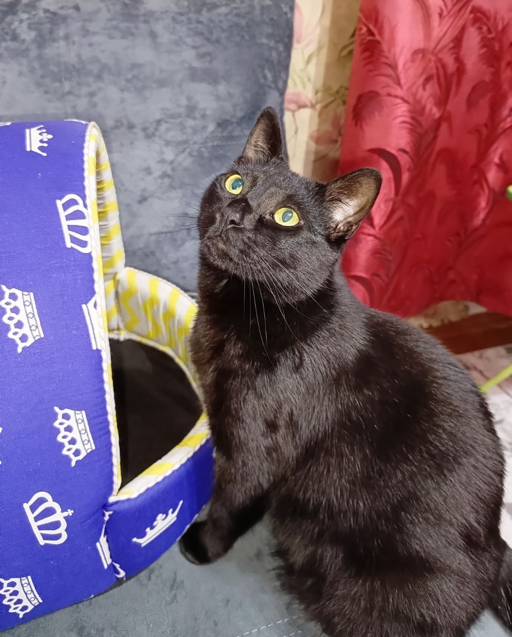 Доброе утро, Кубань!. Краснодар +3…+17 °С Доброе утро, Кубань!. Краснодар +3…+17 °С