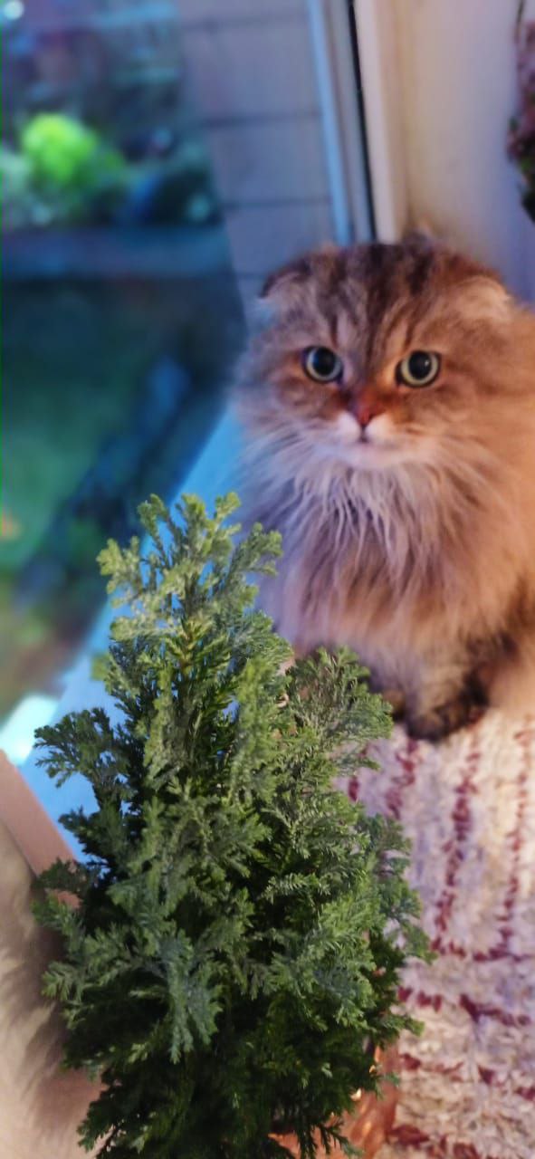 О погоде на 8 ноября. В Краснодарском крае переменная облачность О погоде на 8 ноября. В Краснодарском крае переменная облачность