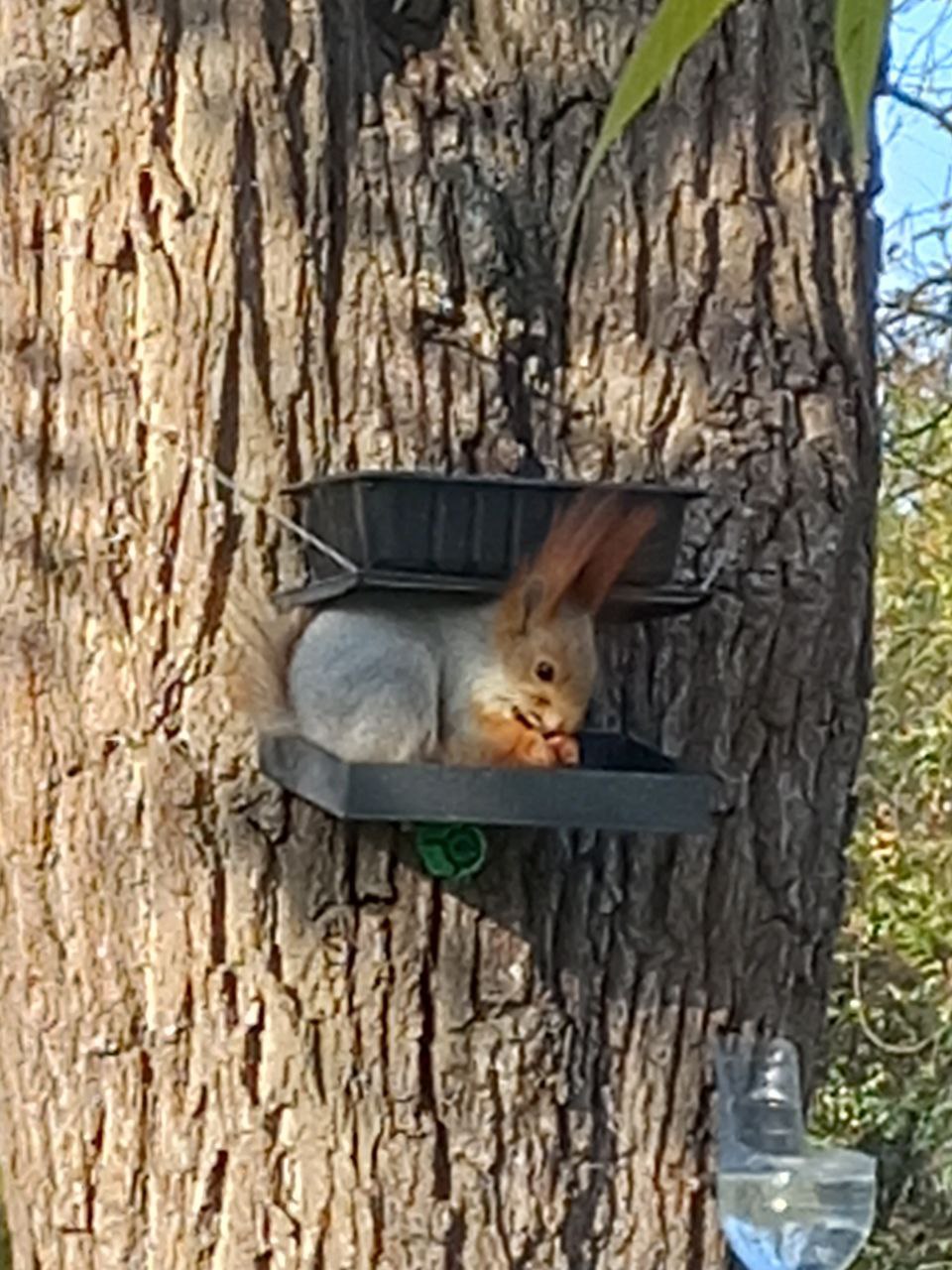 О погоде на 8 ноября. В Краснодарском крае переменная облачность