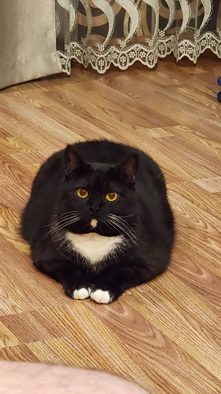 Доброе утро, Кубань!. Краснодар +3…+17 °С Доброе утро, Кубань!. Краснодар +3…+17 °С