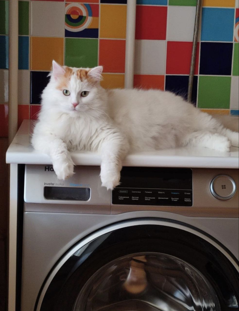 Доброе утро, Кубань!. Краснодар +3…+17 °С Доброе утро, Кубань!. Краснодар +3…+17 °С