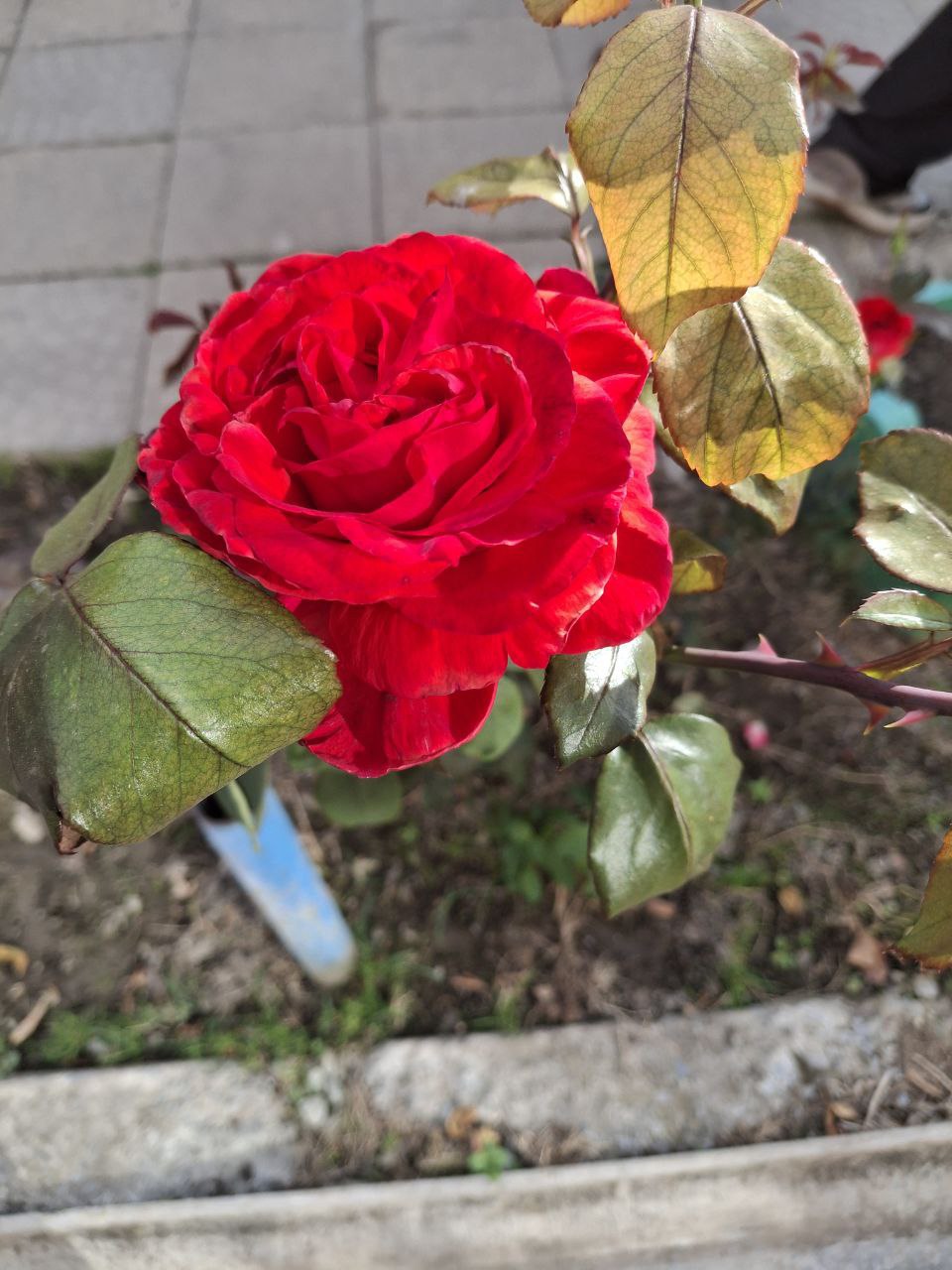 О погоде на 8 ноября. В Краснодарском крае переменная облачность О погоде на 8 ноября. В Краснодарском крае переменная облачность