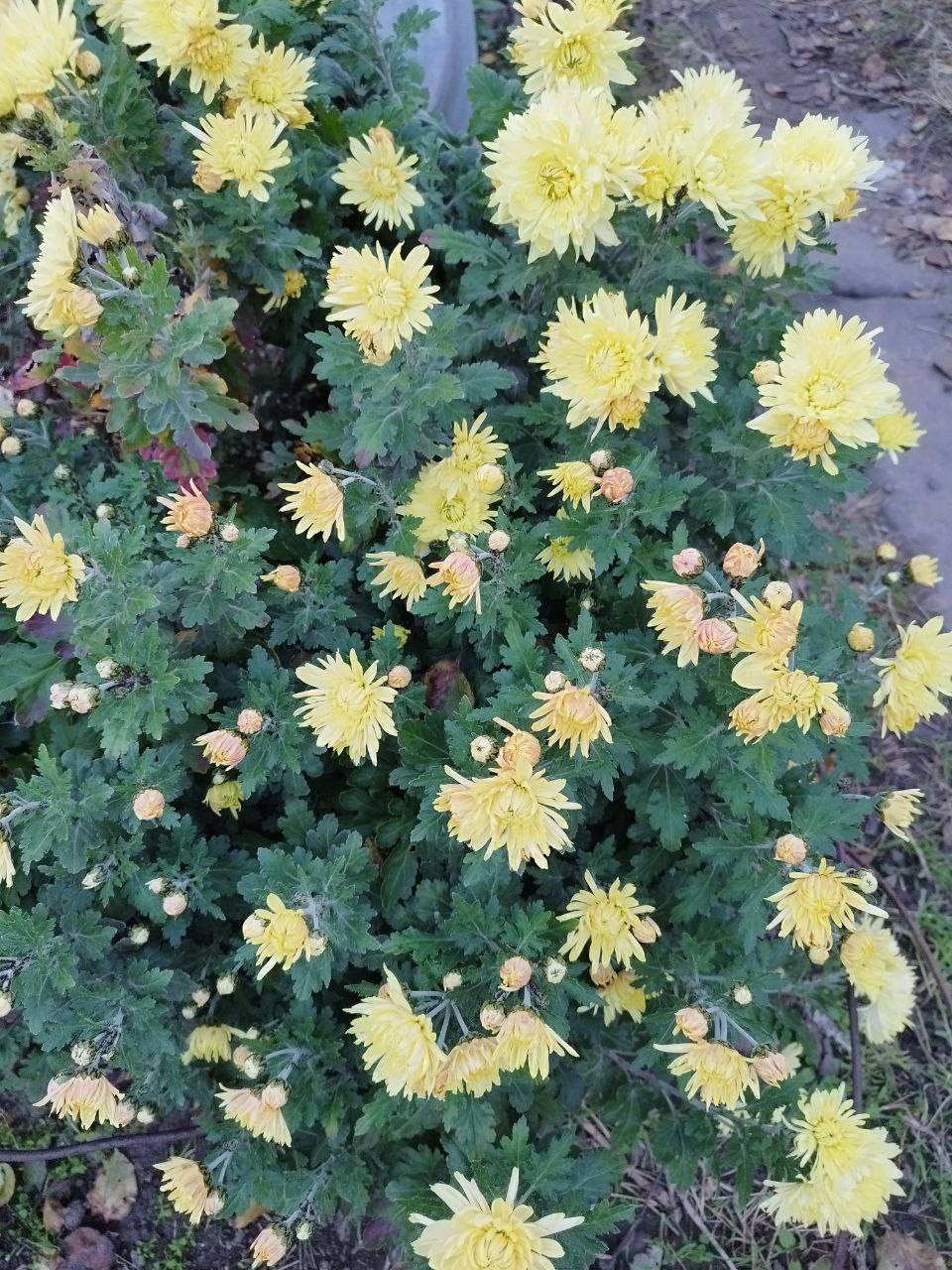 О погоде на 8 ноября. В Краснодарском крае переменная облачность О погоде на 8 ноября. В Краснодарском крае переменная облачность