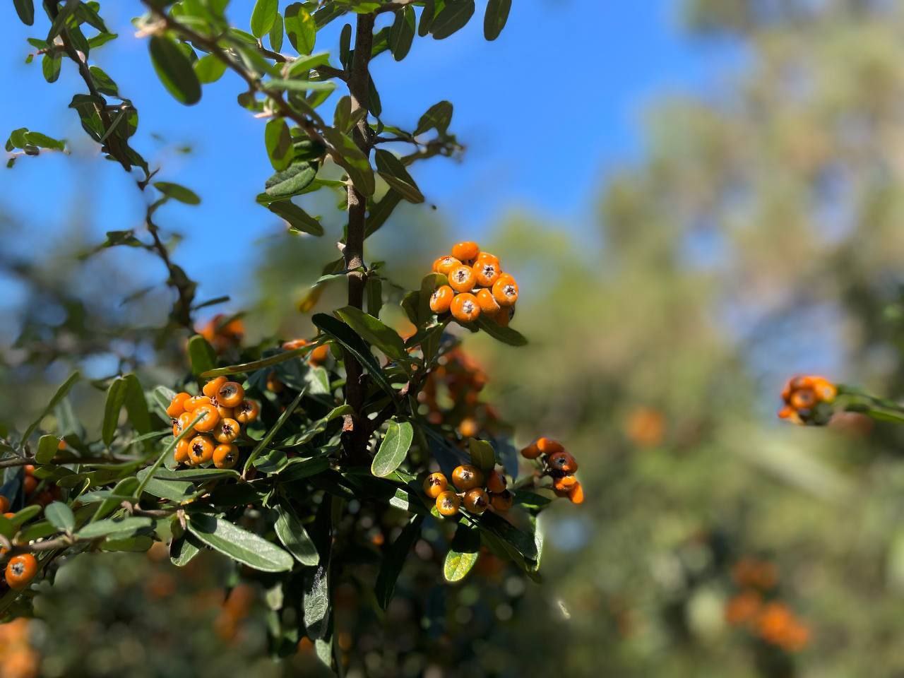 Доброе утро, любимый город!