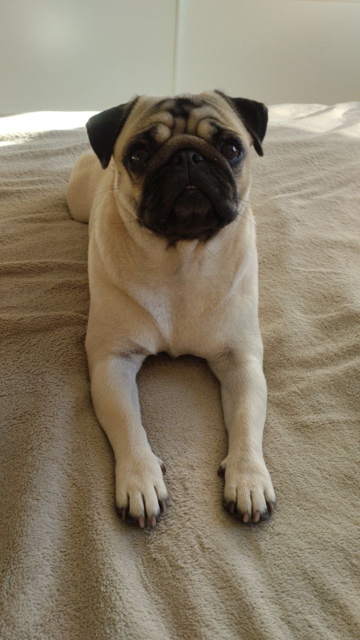 Доброе утро, Кубань!. Краснодар +17 °С Доброе утро, Кубань!. Краснодар +17 °С